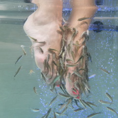 Санаторий Хилово, Псковская область