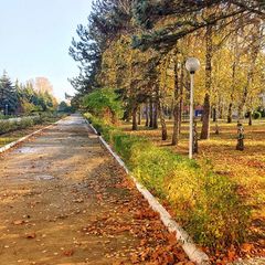 Санаторий Черноморская зорька, Анапа, Краснодарский край