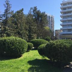 Санаторий Кубань, Анапа, Краснодарский край