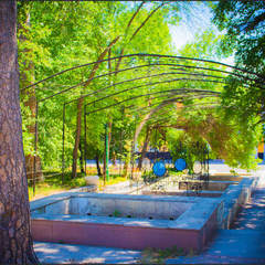 Санаторий Барнаульский, Алтайский край