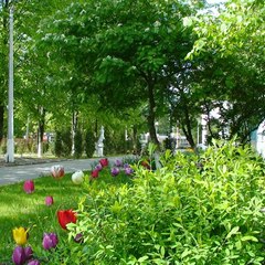 Санаторий Родник, Вологодская область