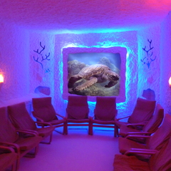 Санаторий Адонис, Вологодская область