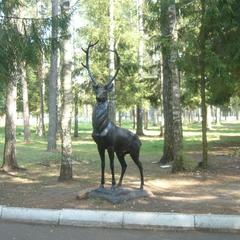 Санаторий Зеленый городок, Иваново, Ивановская область