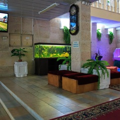 Санаторий им. Цюрупы, Воронежская область