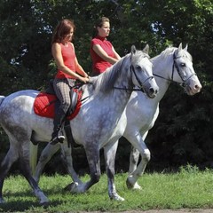 Отель AZIMUT Кострома Rosa Khutor, Кострома, Костромская область