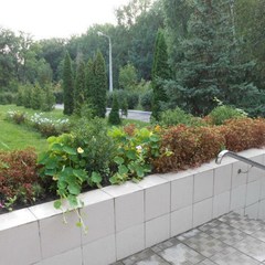 Санаторий Маяк, Курский район, Курская область
