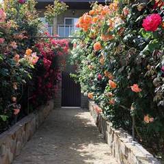 Гостевой дом Замок, Крым