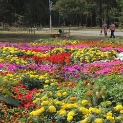 Санаторий Сосновый бор, Тюменская область