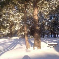 Санаторий Сосновый бор, Тюменская область