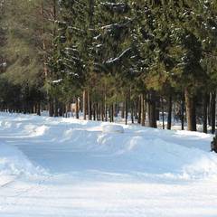 Санаторий им. Воровского, Рыбинск, Ярославская область