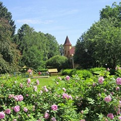 Санаторий Красный холм, Ярославль, Ярославская область