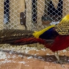 Санаторий Обуховский, Екатеринбург, Свердловская область