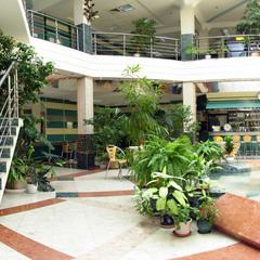 Пансионат Заря, Московская область