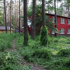 Лесной отель  Ежи, Рамонский район, Воронежская область