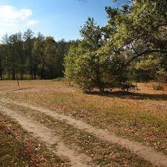 Лесной отель  Ежи, Рамонский район, Воронежская область