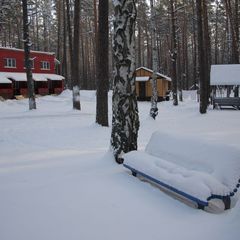 Лесной отель  Ежи, Рамонский район, Воронежская область