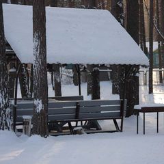 Лесной отель  Ежи, Рамонский район, Воронежская область