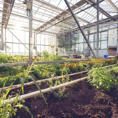 Эко-отель Лесное, Малоярославецкий район, Калужская область