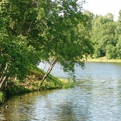 Дом отдыха Компонент, Солнечногорский район, Московская область