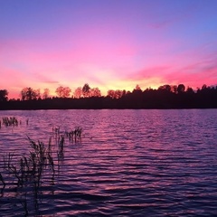 Загородный комплекс Green Gold Park, Селижаровский район, Тверская область