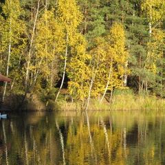 Отель Бисерово, Ногинский район, Московская область