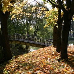Парк-отель Ершово, Одинцовский район, Московская область