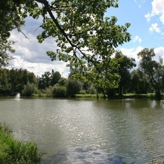 Парк-отель Ершово, Одинцовский район, Московская область