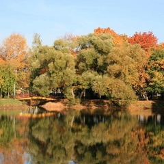 Парк-отель Ершово, Одинцовский район, Московская область