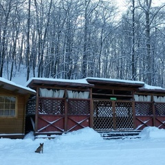 Спортивно-туристический комплекс Форест Парк, Задонский район, Липецкая область