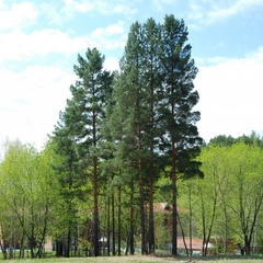 База отдыха Бажовия, Сысертский район, Свердловская область