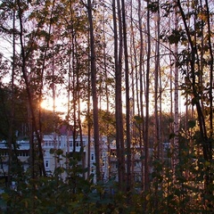 Спортивно-туристический комплекс Форест Парк, Задонский район, Липецкая область