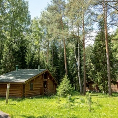 Эко-отель Романов лес, Костромской район, Костромская область