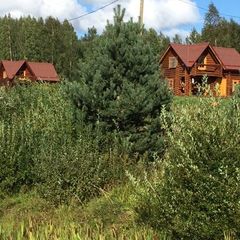 База отдыха Новгородская деревня, Хвойнинский район, Новгородская область