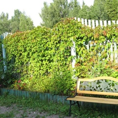 Рыболовно-охотничья база Ухра, Пошехонский район, Ярославская область