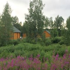 База отдыха Новгородская деревня, Хвойнинский район, Новгородская область