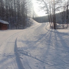 Спортивно-туристический комплекс Форест Парк, Задонский район, Липецкая область