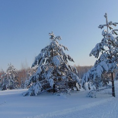 Спортивно-туристический комплекс Форест Парк, Задонский район, Липецкая область