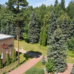 Загородный комплекс Голицыно, Одинцовский район, Московская область