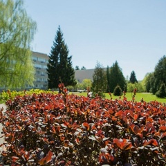 Оздоровительный комплекс Десна, Москва, Московская область