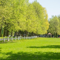 Оздоровительный комплекс Десна, Москва, Московская область