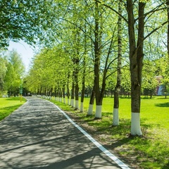 Оздоровительный комплекс Десна, Москва, Московская область