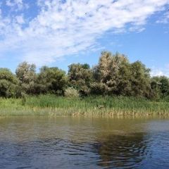 Рыболовно-охотничья база Новинская, Камызякский район, Астраханская область