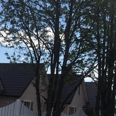 Гостевой дом Печоры-Дом, Печорский район, Псковская область