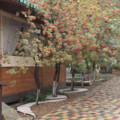 Загородный клуб Лесная поляна, Березовский, Свердловская область