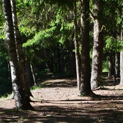 База отдыха Пушкиногорье, Пушкиногорский район, Псковская область