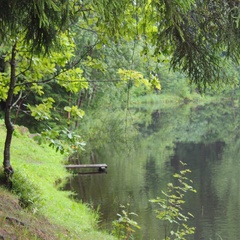 База отдыха Пушкиногорье, Пушкиногорский район, Псковская область