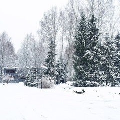 База отдыха Пушкиногорье, Пушкиногорский район, Псковская область