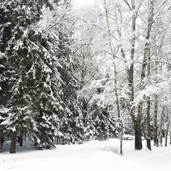 База отдыха Пушкиногорье, Пушкиногорский район, Псковская область