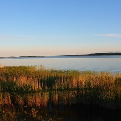 База отдыха Мантиансаари, Питкярантский район, Республика Карелия