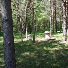 Клуб Кравотынь, Осташковский район, Тверская область
